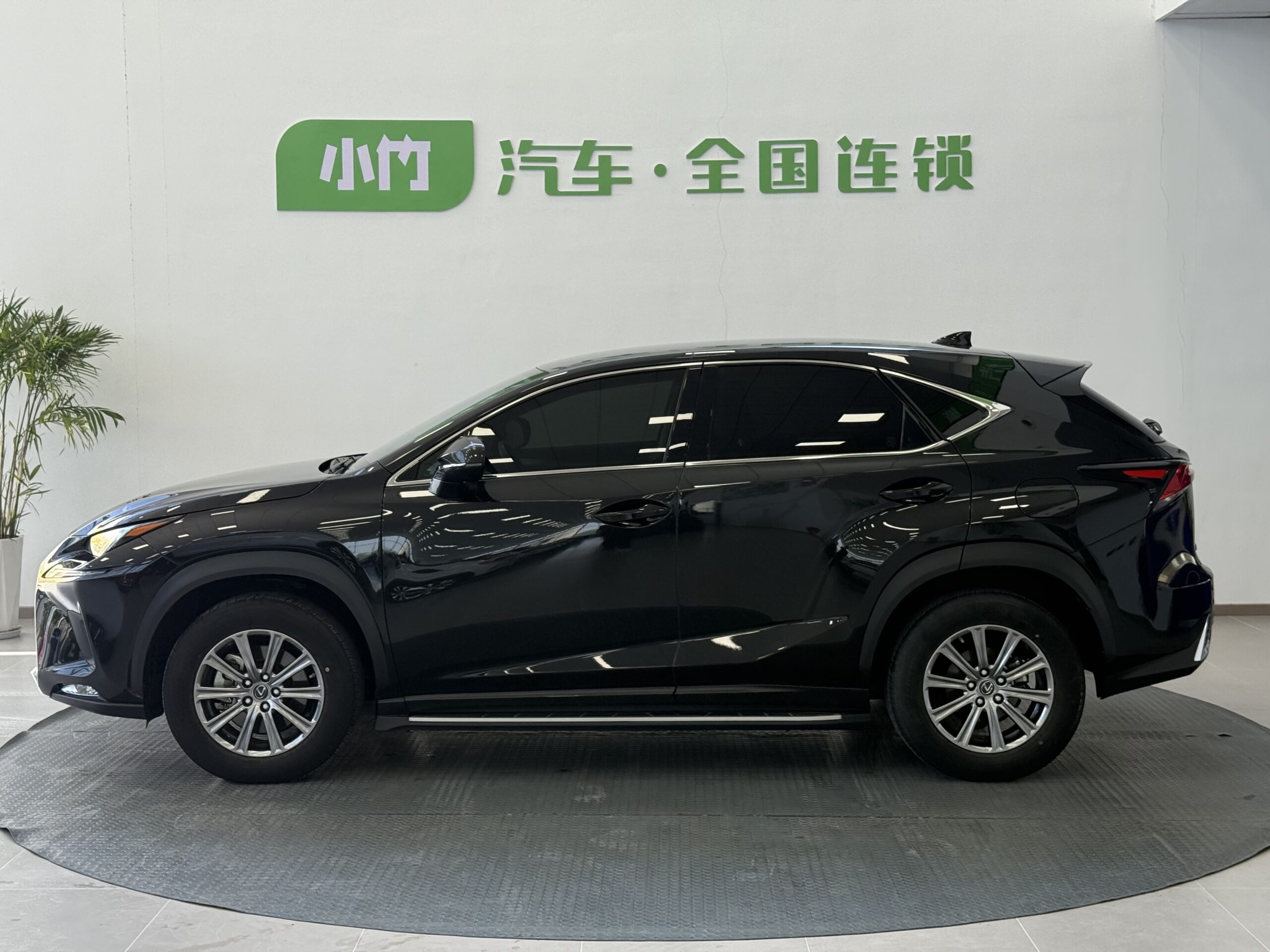 2020 Lexus NX 200 FWD Fengyi Edition - 图片 2