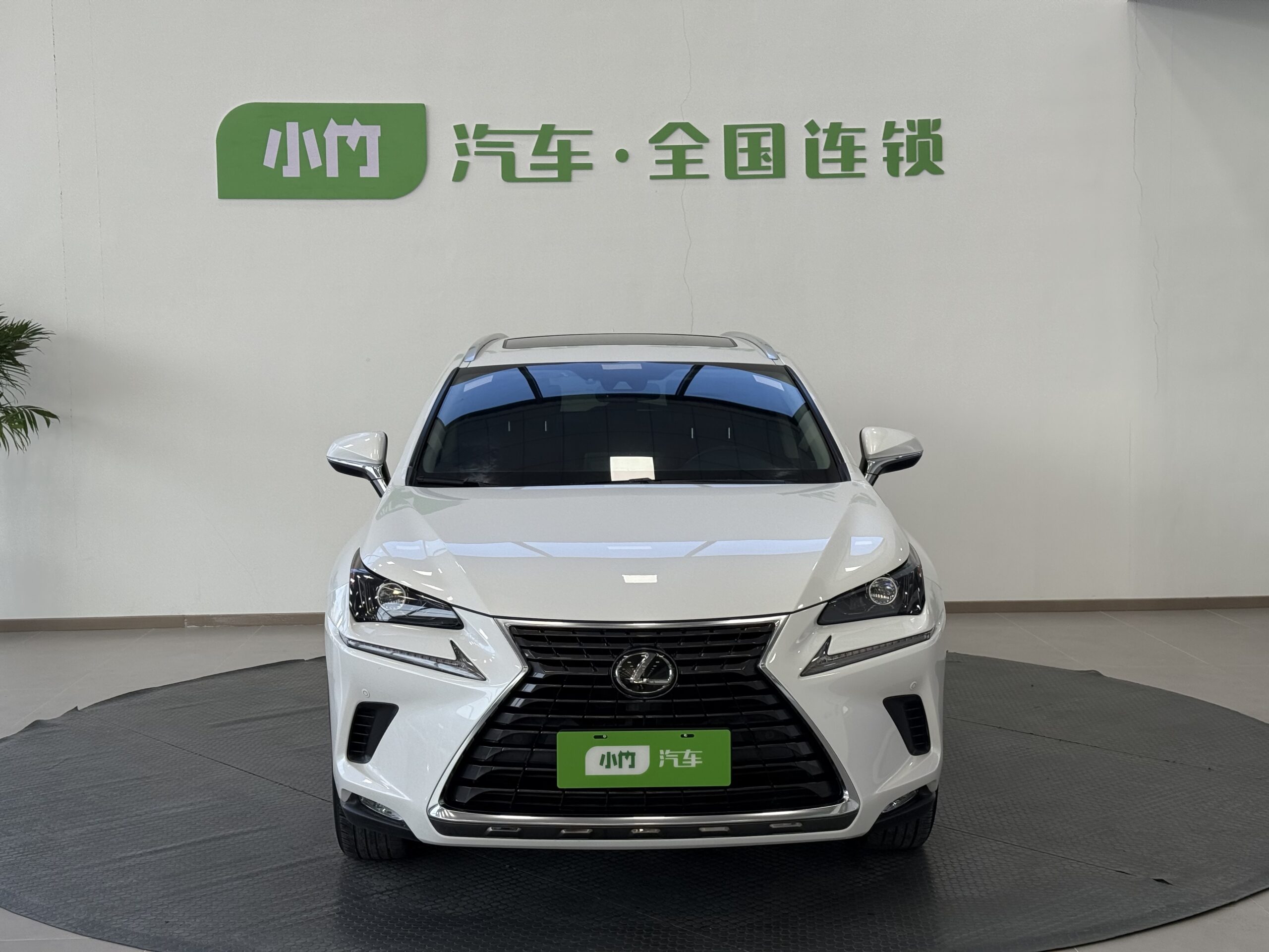 Lexus NX 2020 200 AWD F-Sport Edition - 图片 2
