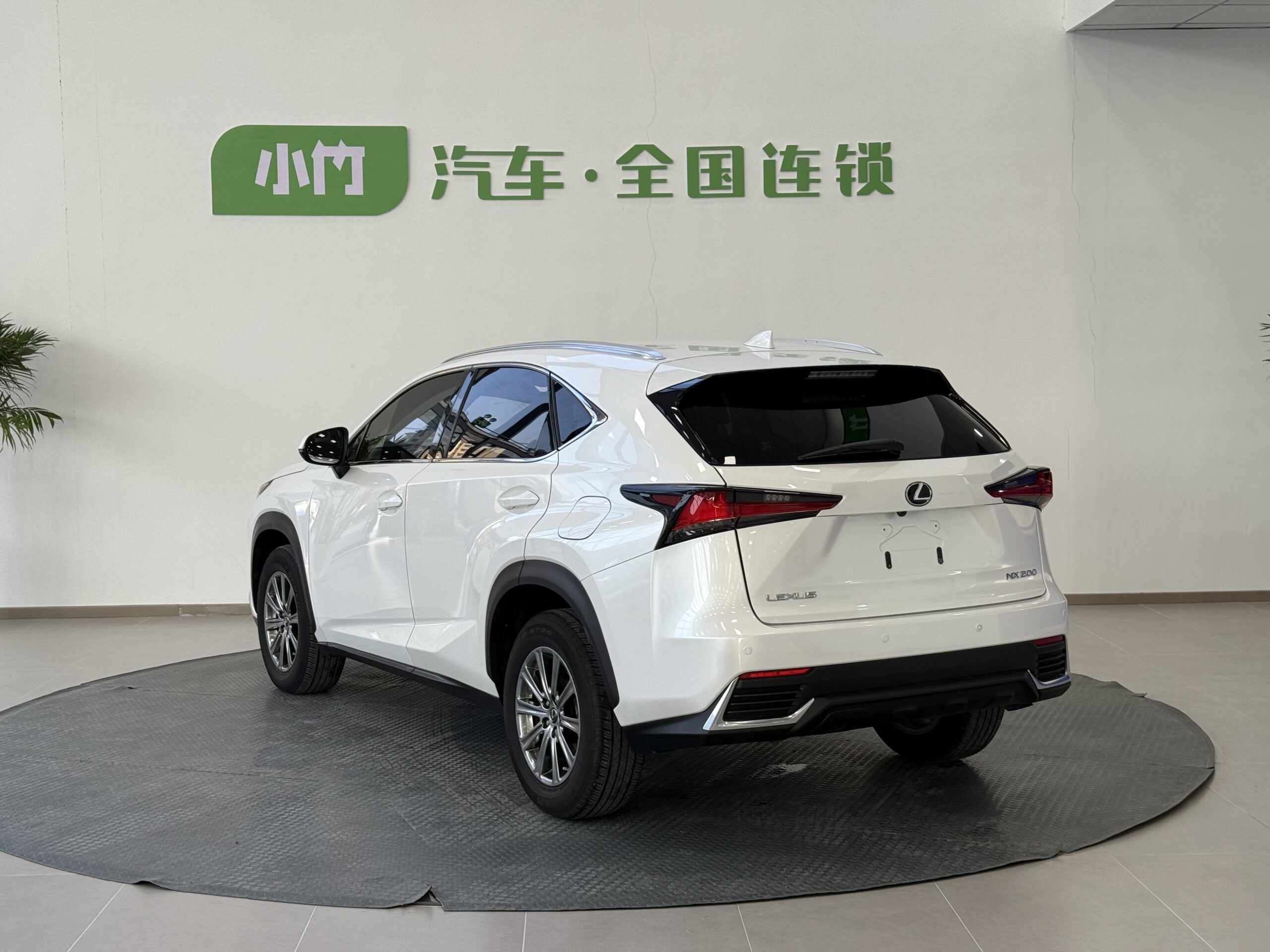 Lexus NX 2020 200 AWD F-Sport Edition - 图片 6