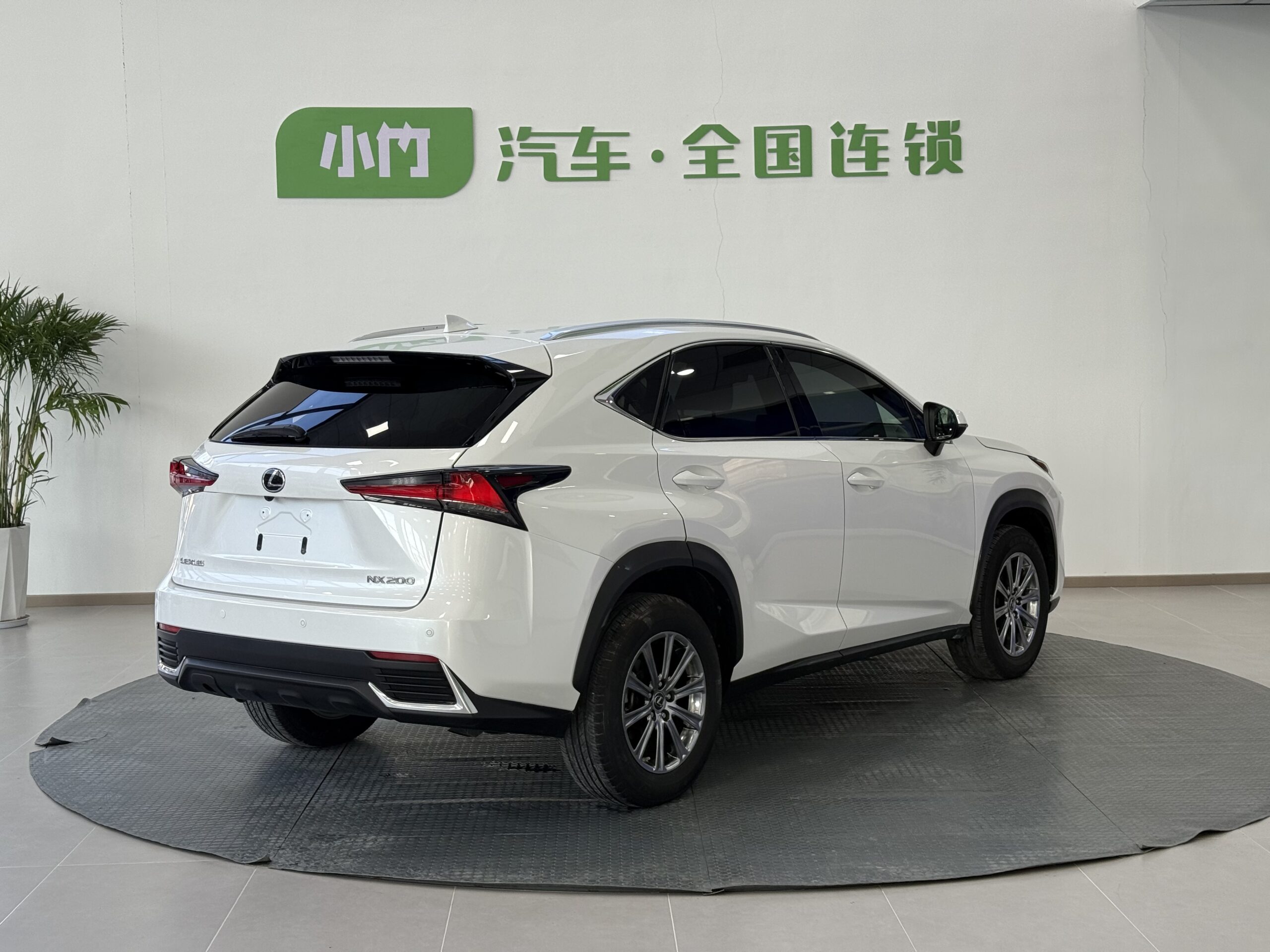 Lexus NX 2020 200 AWD F-Sport Edition - 图片 4