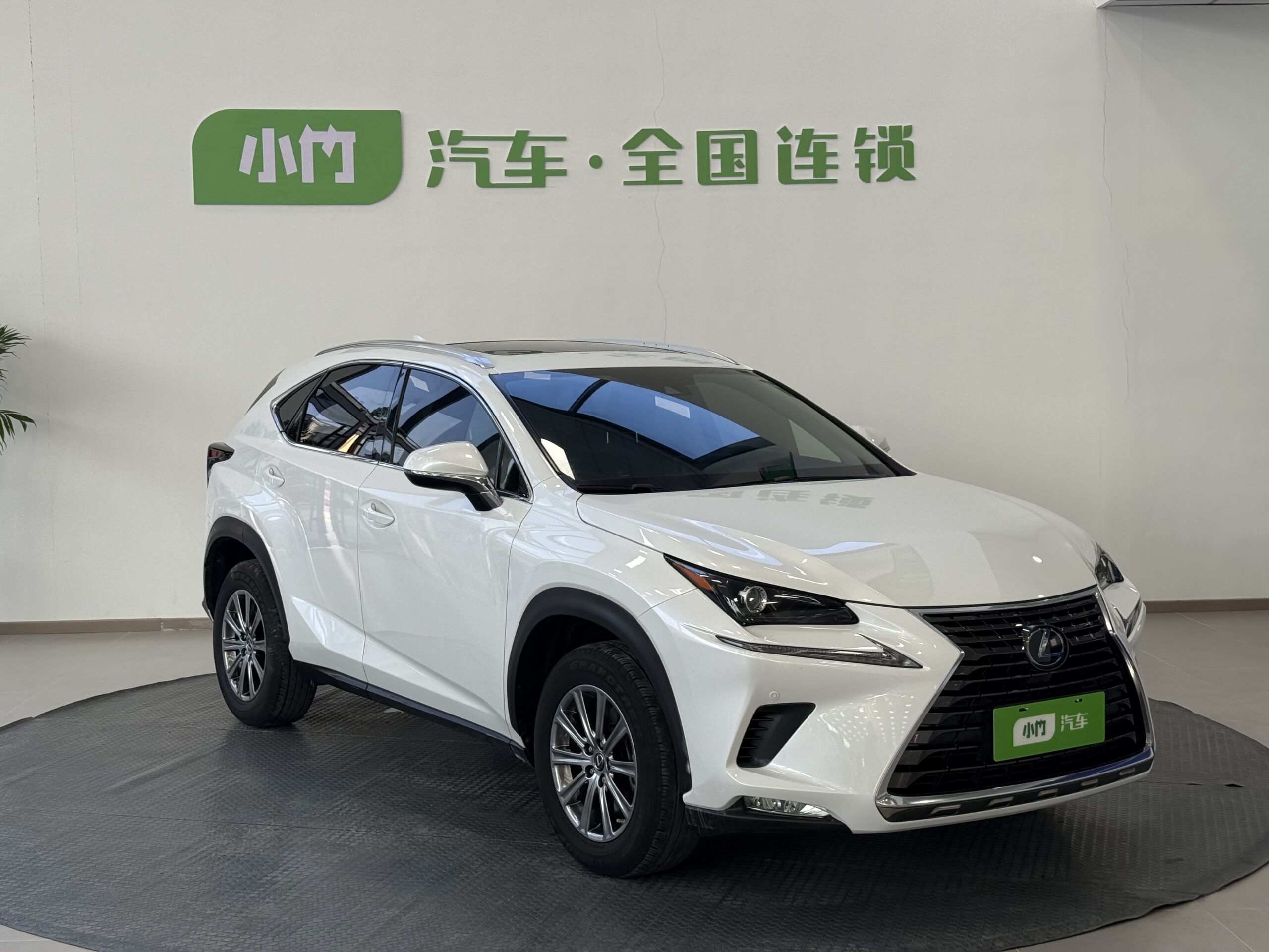 Lexus NX 2020 200 AWD F-Sport Edition - 图片 3
