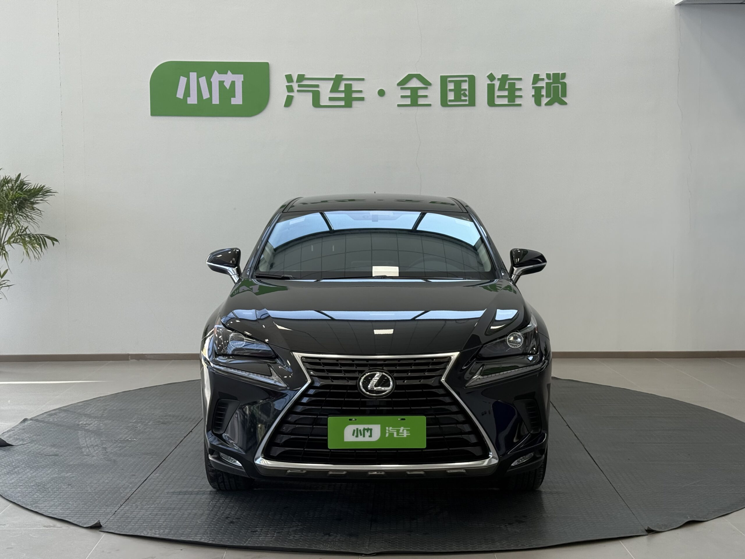 2020 Lexus NX 200 FWD Fengyi Edition - 图片 4