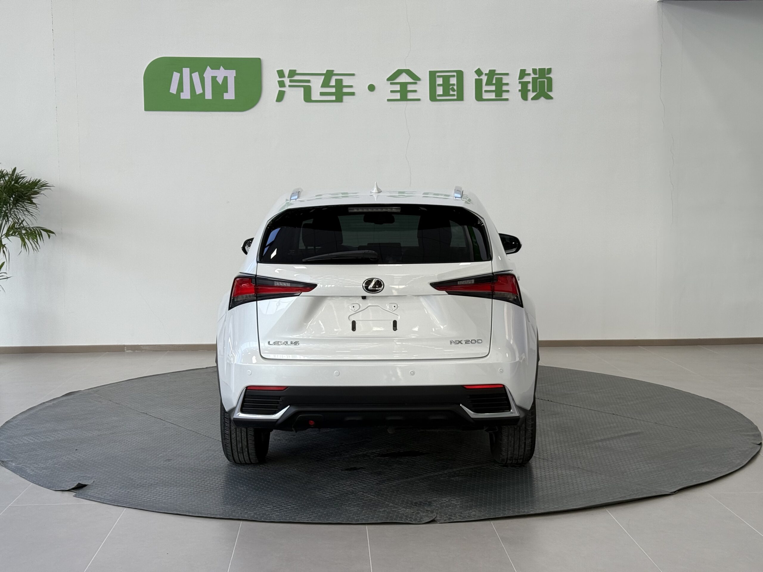 Lexus NX 2020 200 AWD F-Sport Edition - 图片 5